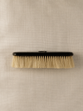 Edwardian Tortoiseshell Clothes Brush
