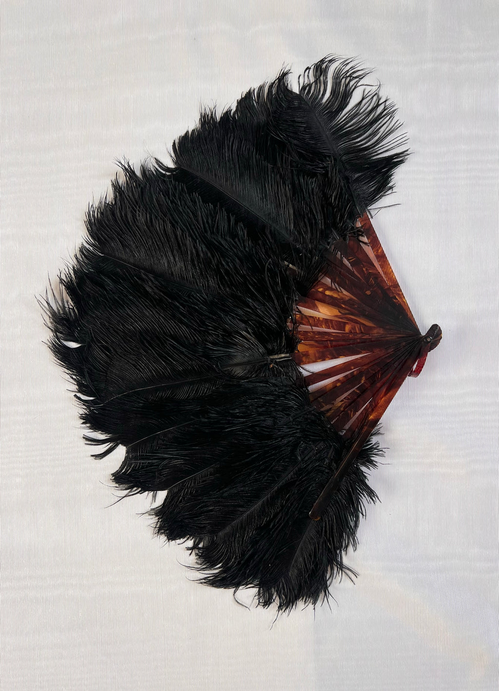 Victorian Black Ostrich Feather Fan