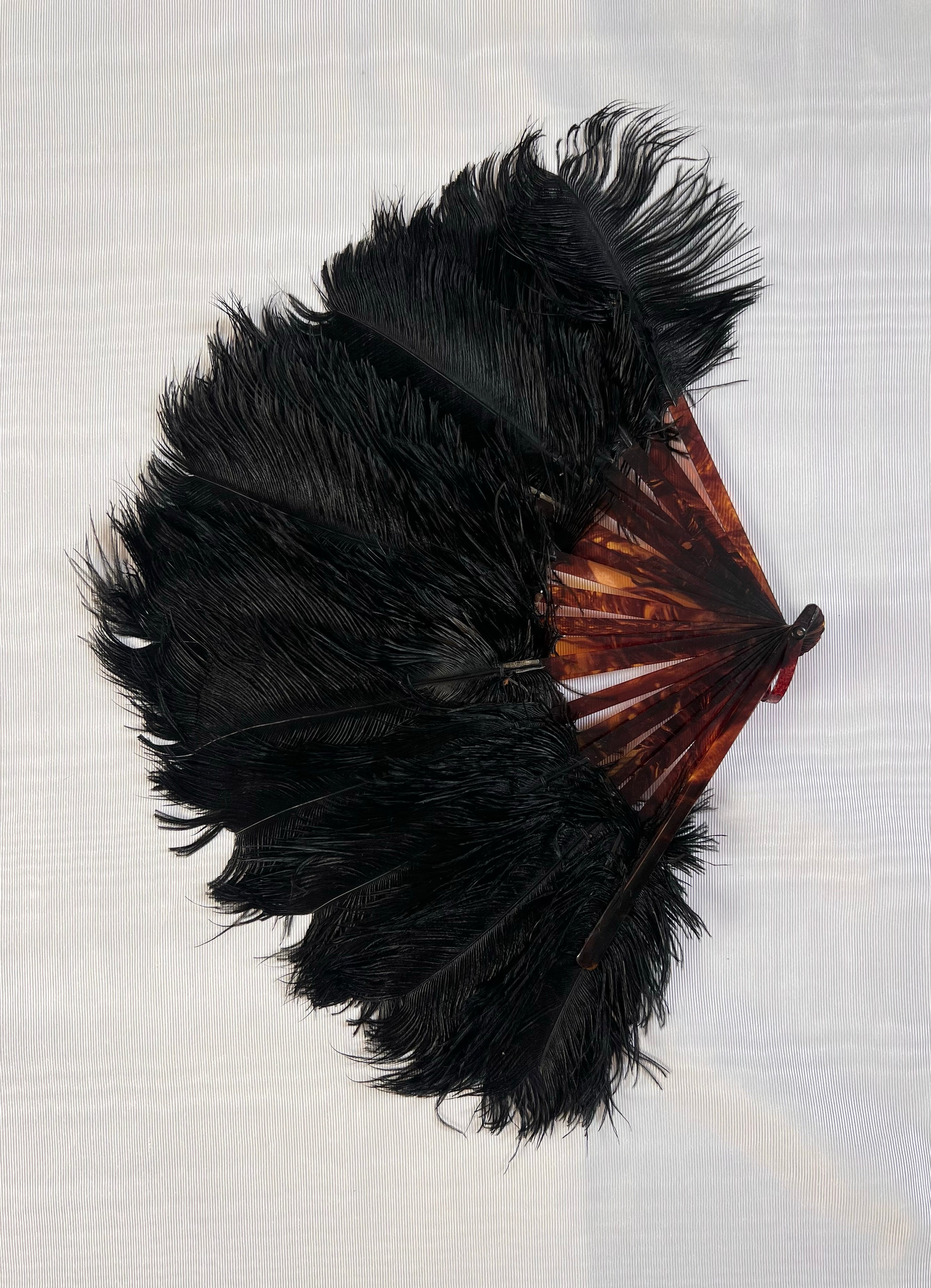 Victorian Black Ostrich Feather Fan